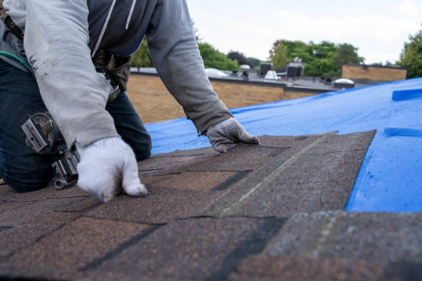 Best Emergency Roof Repair  in Alexander, AR
