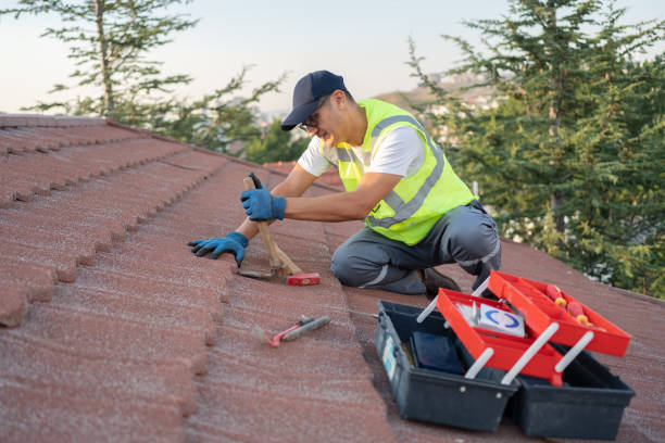 Best Storm Damage Roof Repair  in Alexander, AR