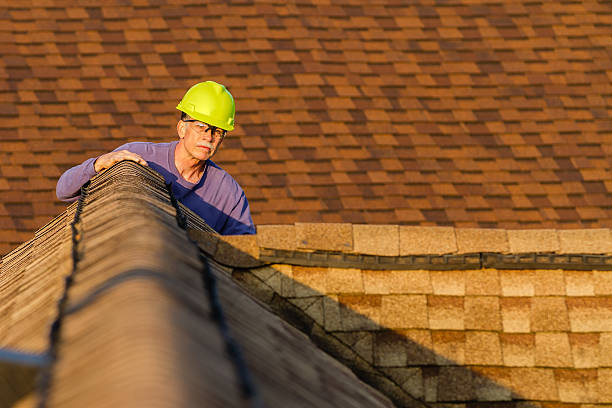 Best Metal Roofing Contractor  in Alexander, AR